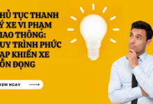 Thanh Ly Xe Vi Pham Giao Thong