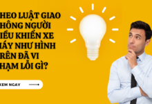Theo luat giao thong nguoi dieu khien xe may nhu hinh tren da vi pham loi gi