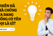 Thien ha ma chung ta dang song co ten goi la gi