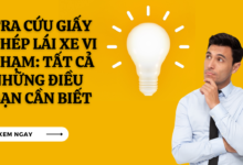 Tra cuu giay phep lai xe vi pham