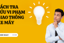 Tra cuu vi pham giao thong xe may