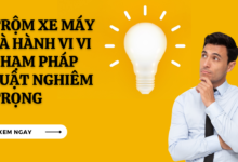 Trom xe may la vi pham gi