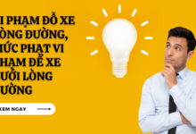 Vi pham do xe long duong