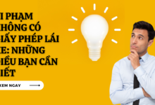 Vi pham khong co giay phep lai xe