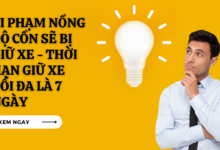 Vi pham nong do con co bi giu xe khong