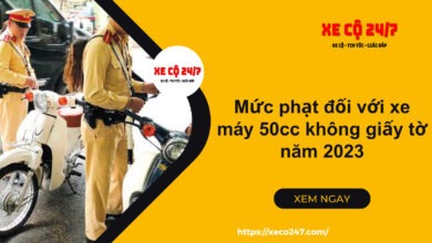 Xe 50cc Khong Giay To Phat Bao Nhieu