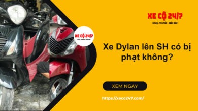 Xe Dylan Len Sh Co Bi Phat Khong