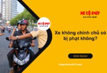 Xe khong chinh chu co bi phat khong