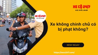 Xe Khong Chinh Chu Co Bi Phat Khong