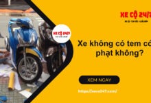 Xe Khong Co Tem Co Bị Phạt Khong