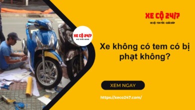 Xe Khong Co Tem Co Bị Phạt Khong