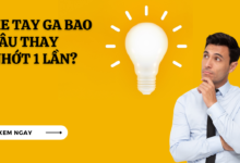 Xe tay ga bao lau thay nhot 1 lan