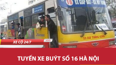 Xebuyt16