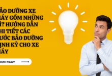 Bao duong xe may gom nhung gi