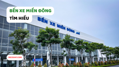 Ben Xe Mien Dong