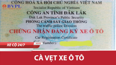 Ca Vet Xe Oto