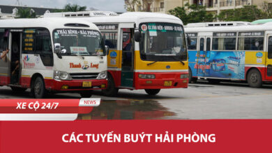 Cac Tuyen Xe Buyt Hai Phong