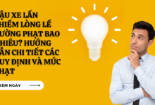 Dau xe lan chiem long le duong