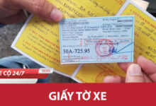 Giay to xe