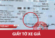 Giay to xe gia