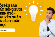 Loi Den Bao Say Nong Bugi