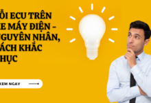 Loi ecu tren xe may dien