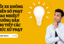 Loi Xe Khong Bien So Phat Bao Nhieu