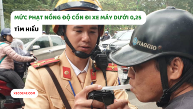 Muc Phat Nong Do Con Di Xe May Duoi 025