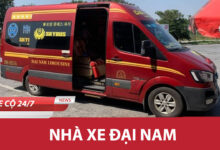 Nha Xe Dai Nam