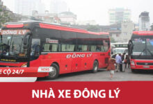 Nha Xe Dong Ly