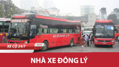 Nha Xe Dong Ly