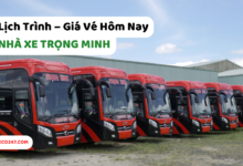Nha Xe Trong Minh
