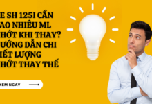Sh 125i thay nhot bao nhieu ml