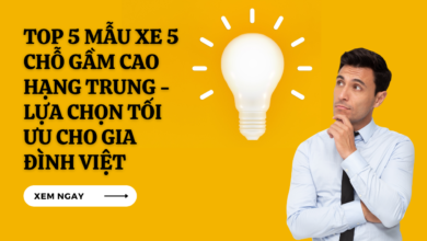 Xe 5 Cho Gam Cao Hang Trung