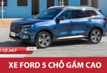 Xe Ford 5 Cho Gam Cao