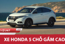 Xe Honda 5 Cho Gam Cao