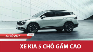 Xe Kia 5 Cho Gam Cao