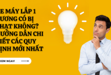 Xe may lap 1 guong co bi phat khong