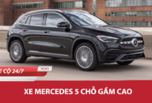 Xe Mercedes 5 Cho Gam Cao