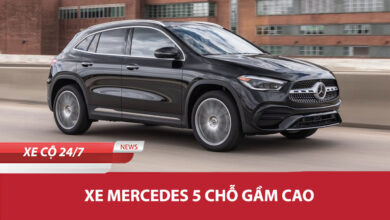 Xe Mercedes 5 Cho Gam Cao