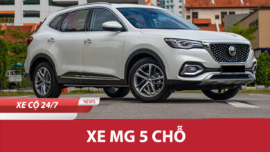 Xe Mg 5 Cho