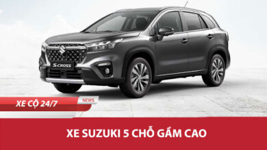 Xe Suzuki 5 Cho Gam Cao