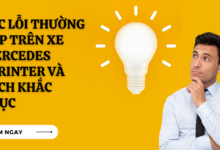 Cac loi cua xe mercedes sprinter