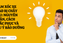 Giam xoc xe lead bi chay dau