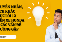 Loi 12 xe honda