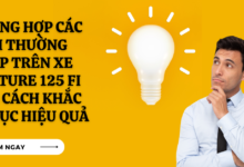 Loi xe future 125 fi