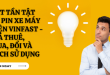 Pin xe may dien vinfast