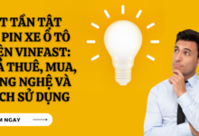 Pin xe o to dien vinfast